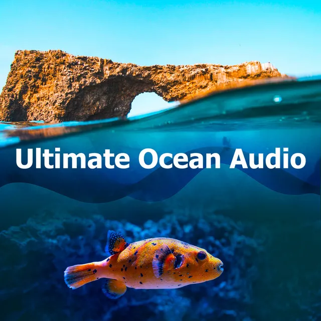 Ultimate Ocean Audio