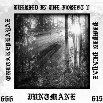 BURRIED IN THE FOREST V by JUNTMANE