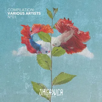 Organica Records Compilation 01 by Seba Campos