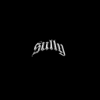 Sully's Revenge by sully2rich