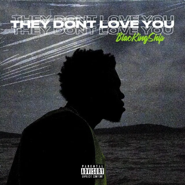 They Dont Love You