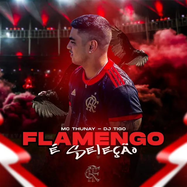 Flamengo É Seleção