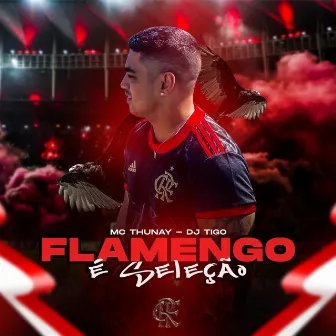 Flamengo É Seleção by Dj Tigo