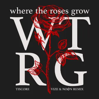 Where The Roses Grow (VIZE & NOØN Remix) by NOØN