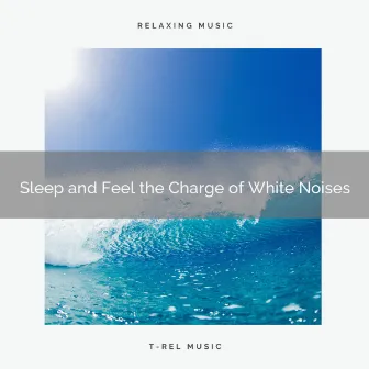 Sleep and Feel the Charge of White Noises by Brownian Noise for Sleep