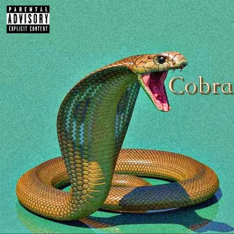 Cobra by Kijon