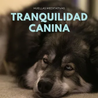 Tranquilidad Canina: Huellas Meditativas by Hanami Zen