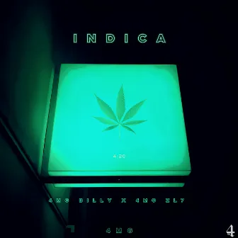 INDICA by 4MG