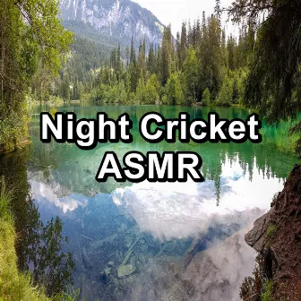 Night Cricket ASMR by Crickets