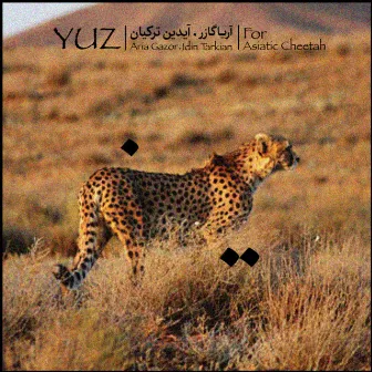 YUZ (Piano & Kamancheh Improvisation) by Aidin Tarkian