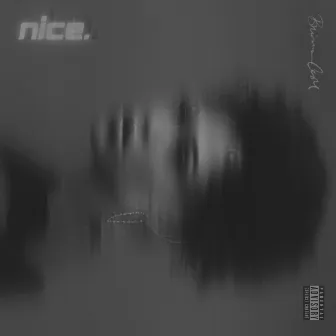 Nice by Brianna Castro