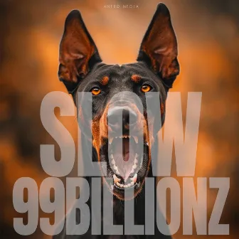 Slow by 99BILLIONZ