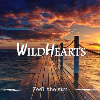 Feel the Sun by WIldhearts