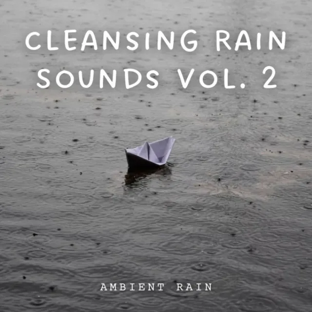 Ambient Rain: Cleansing Rain Sounds Vol. 2