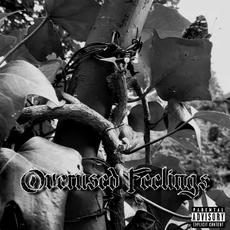 Overused Feelings by Hawenus