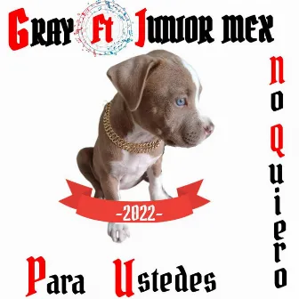 No Quiero by Gray