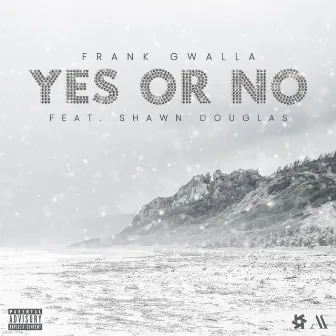 Yes or No by Frank Gwalla