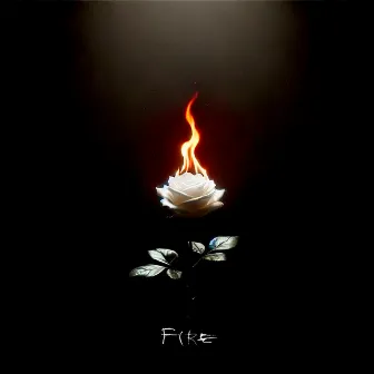 fire by Oly Amo