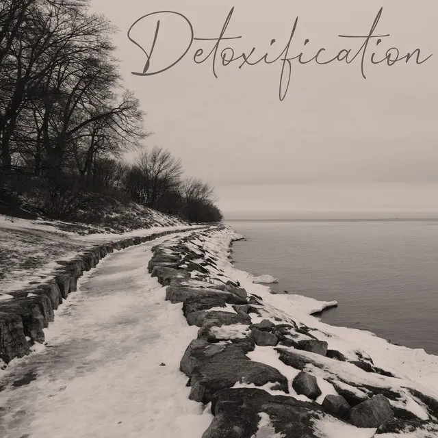 Detoxification: Stress Reducing Relaxation Music For Therapy, Deep Relaxation, Mental and Physical Calming