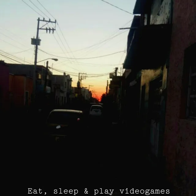 Eat, sleep & play videogames