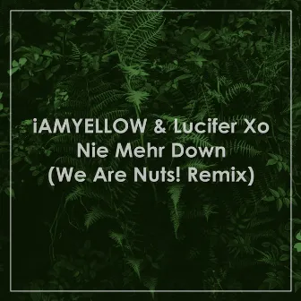 Nie mehr down (We Are Nuts! Remix) by FCKSHT