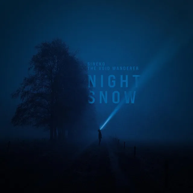 Night Snow