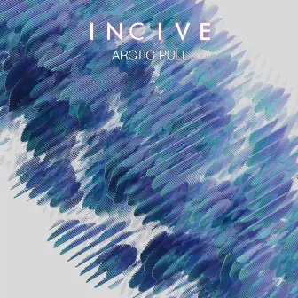 Arctic Pull by Incive