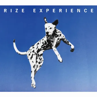 EXPERIENCE by RIZE