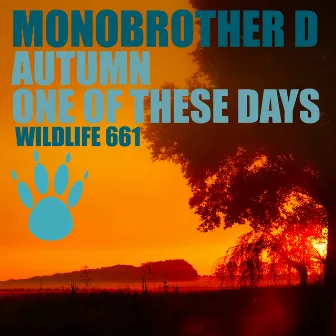 Autumn / One of These Days by Monobrother D