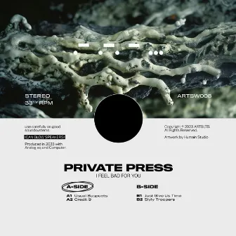 I Feel Bad For You by Private Press