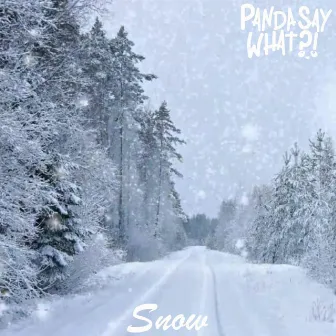 Snow by Pandasaywhat?!