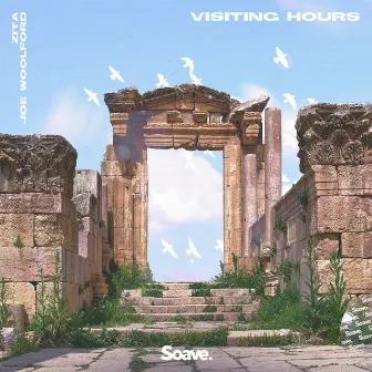 Visiting Hours by Joe Woolford