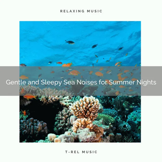 Peaceful and Nice Ocean Noises for Long Evenings