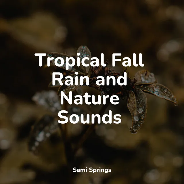 50 Ambient Rain Sounds for Massage & Pilates