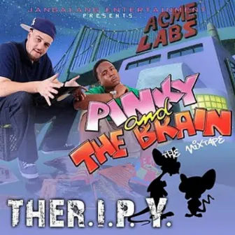 Pinky and the Brain by THER.I.P.Y.