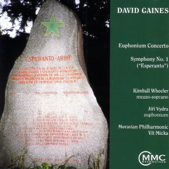 The Music Of David Gaines by David Gaines