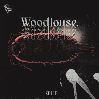 Woodlouse by Zélie