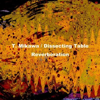 Reverberation by Dissecting Table