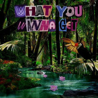 What You Wanna Get by Chacel