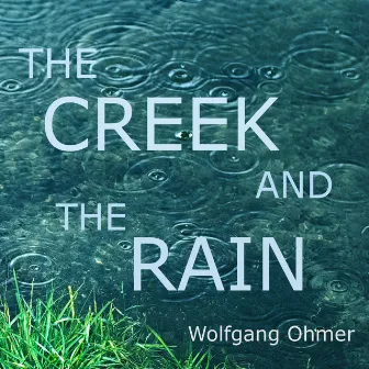 The creek and the rain by Wolfgang Ohmer