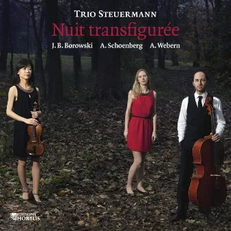 Nuit transfigurée by Trio Steuermann