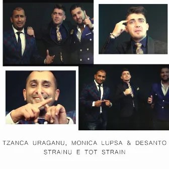 Strainu E Tot Strain by MONICA LUPSA