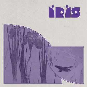 Íris by Mimu