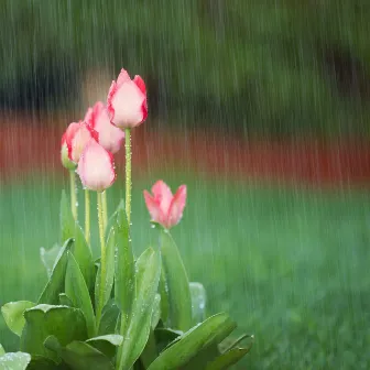 Petrichor Melodies: The Musical Essence of Rain by Linder Valley