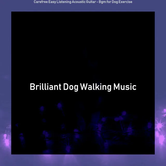 Mysterious Guitar Solos - Vibe for Afternoon Dog Walks