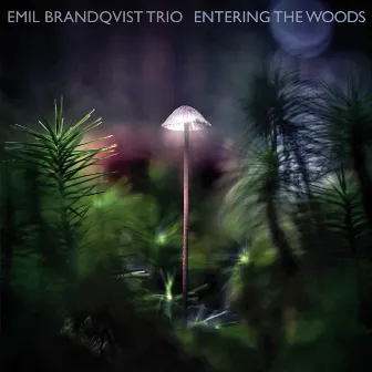 Entering the Woods by Emil Brandqvist