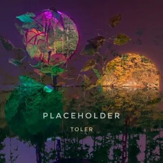 Placeholder by Toler