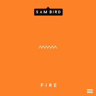 Fire by Sam Bird