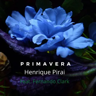 Primavera by Henrique Pirai