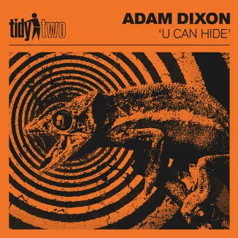 U Can Hide by Adam Dixon